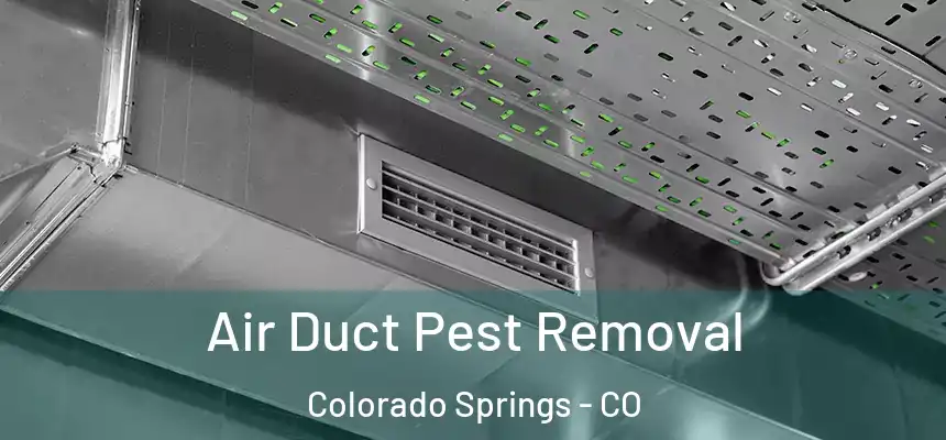 Air Duct Pest Removal Colorado Springs - CO