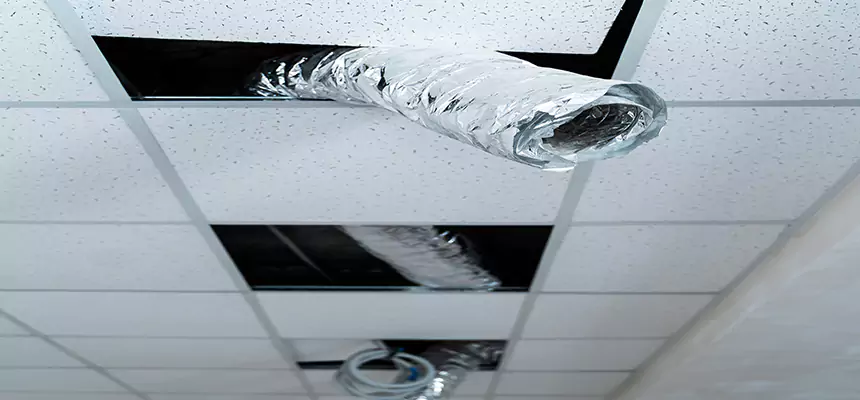 Our Air Duct Pet Hair Removal Services in Colorado Springs, CO