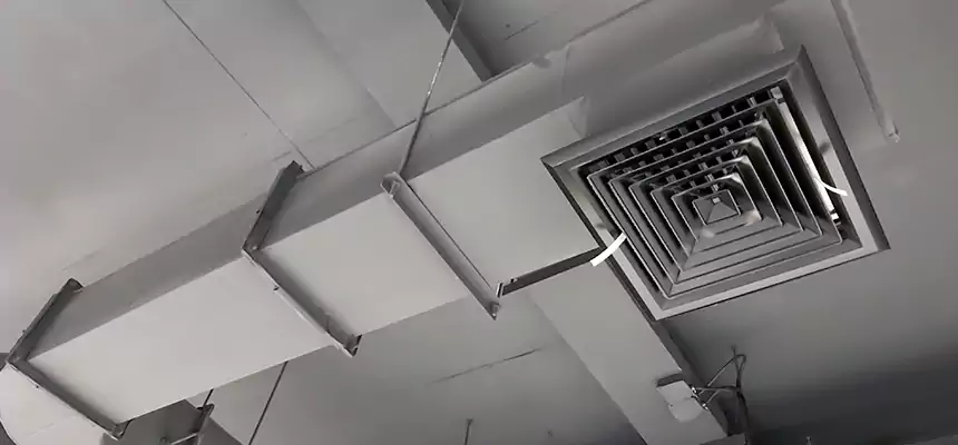 Our Pest Removal From Ducts Services in Colorado Springs, CO