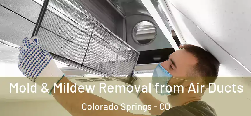 Mold & Mildew Removal from Air Ducts Colorado Springs - CO