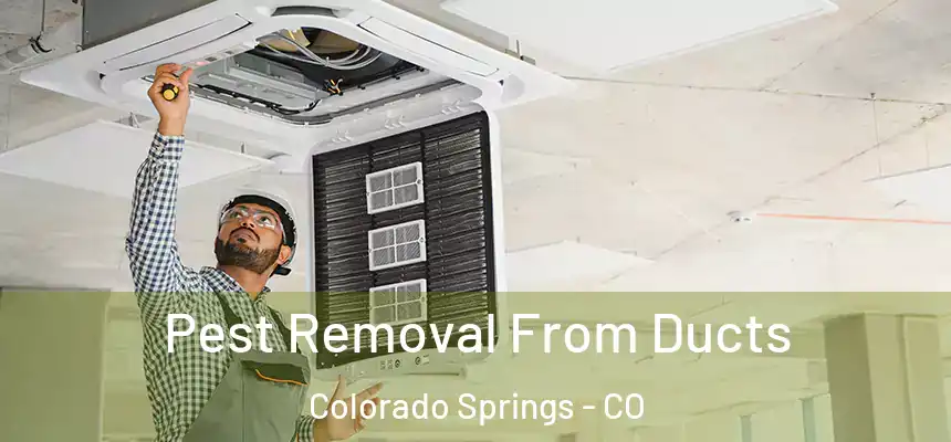 Pest Removal From Ducts Colorado Springs - CO