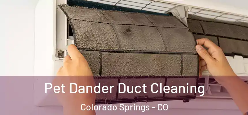  Pet Dander Duct Cleaning Colorado Springs - CO