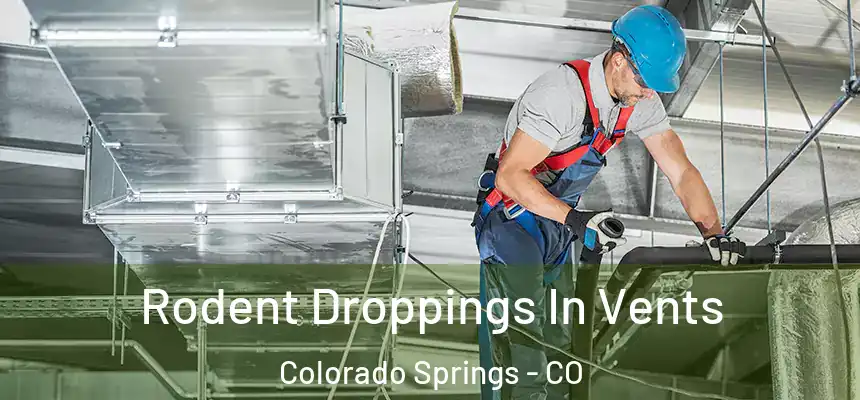 Rodent Droppings In Vents Colorado Springs - CO