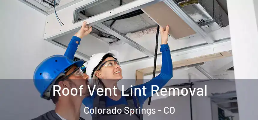 Roof Vent Lint Removal Colorado Springs - CO