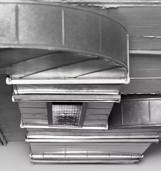 Professional Air Duct Pest Removal in Colorado Springs, CO