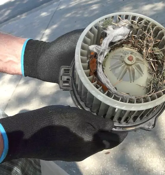 About Air Duct Rat Removal in Colorado Springs, CO