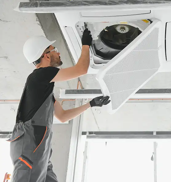 About Air Duct Rodent Removal in Colorado Springs, CO