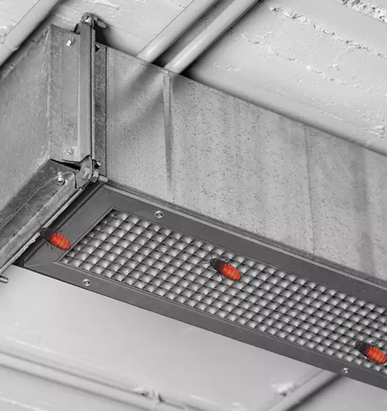 Affordable Insect Removal from Air Ducts in Colorado Springs, CO