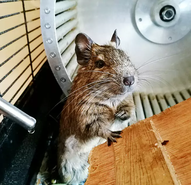 Why Homeowners & Businesses Trust Us Colorado Springs, CO