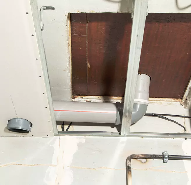 Why Homeowners & Businesses Trust Us in Colorado Springs, CO?