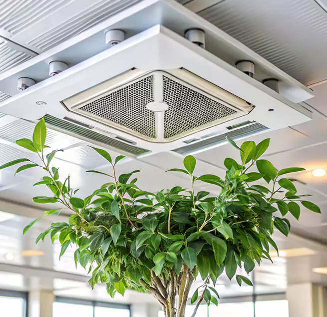 Why Homeowners & Businesses Trust Us in Colorado Springs, CO